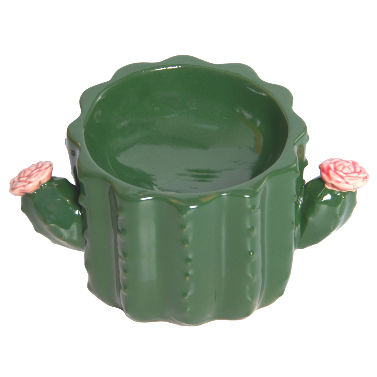 Cactus Elevated Ceramic Pet Bowl 175ml
