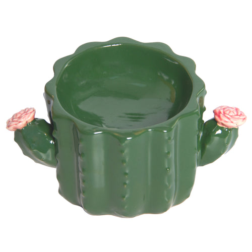 Cactus Elevated Ceramic Pet Bowl 175ml