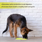 Rectangle Lick Mat - Additional Image 3