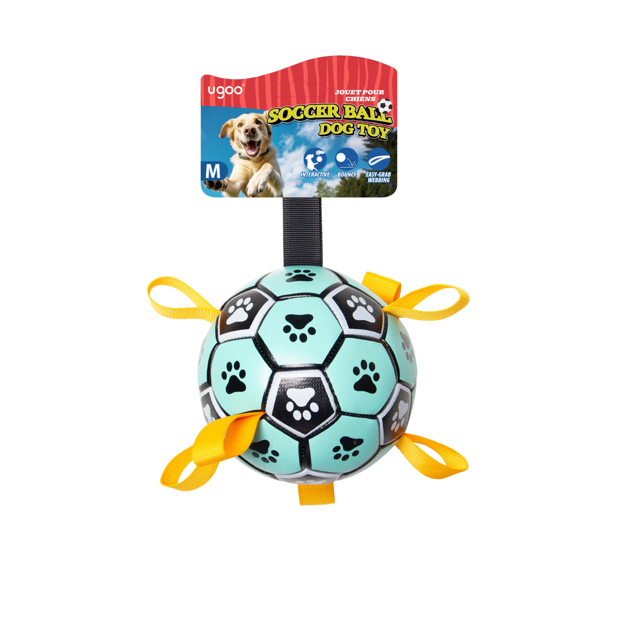 Fetch Soccer Ball