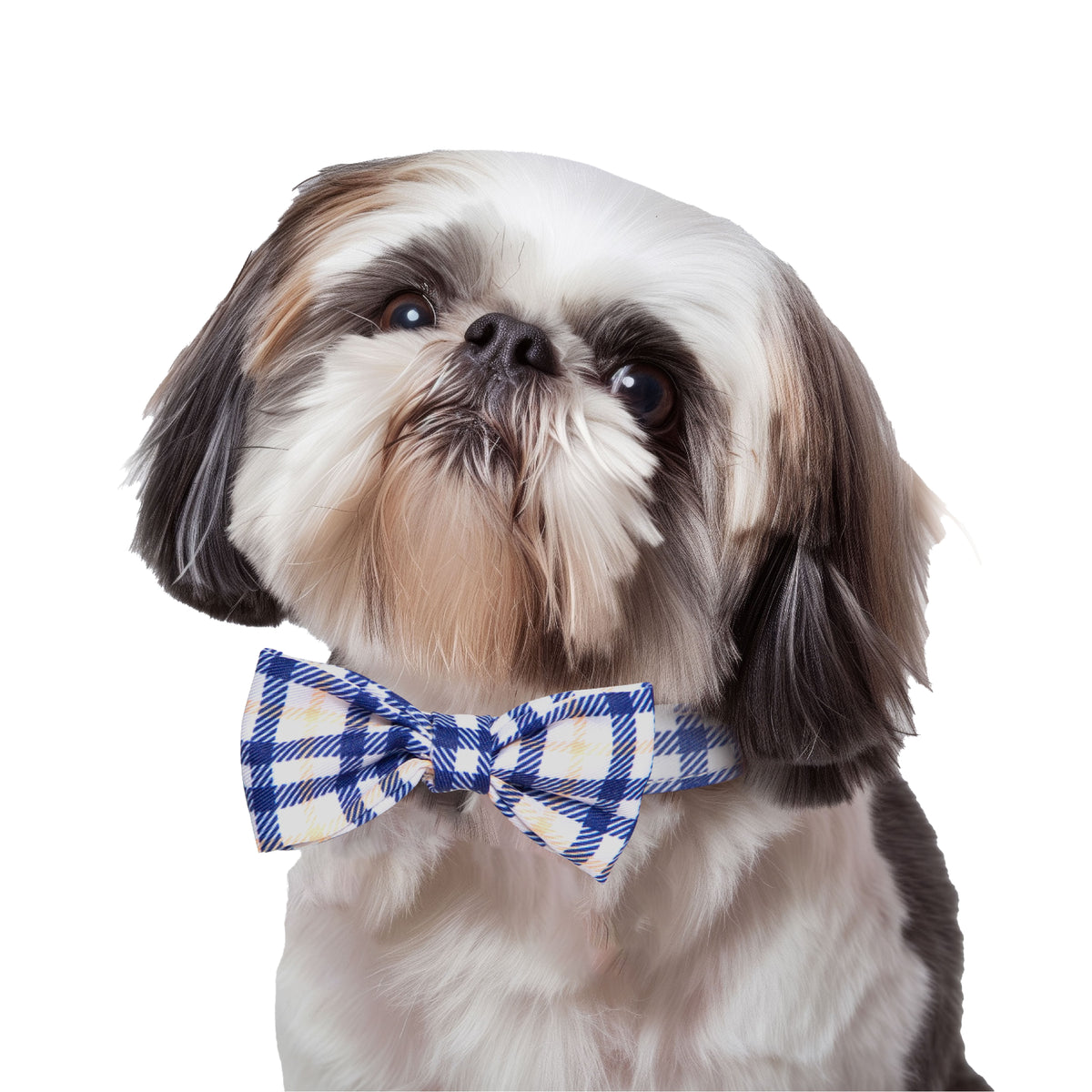 Adjustable Plaid Bow-Tie Dog Collar - M - Additional Image 1