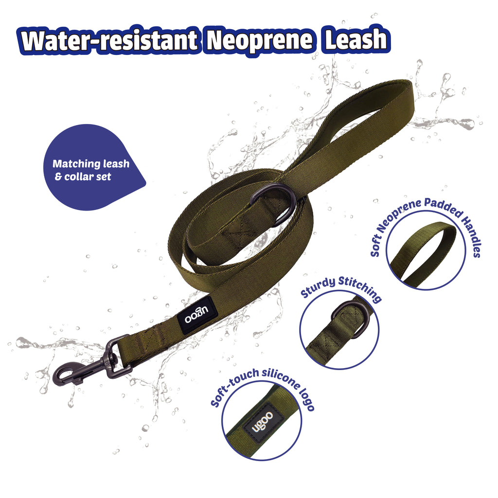 Dog Leash - L - Additional Image 2