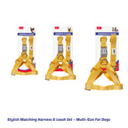 Harness & Leash Set - S - Additional Image 10