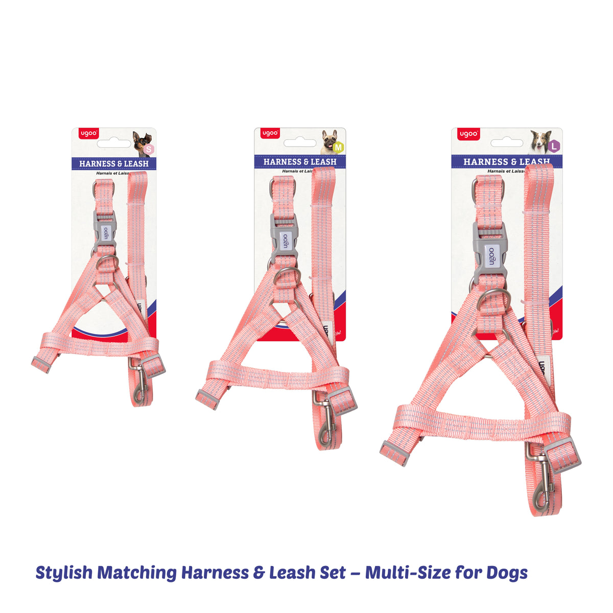 Harness & Leash Set - S - Additional Image 11