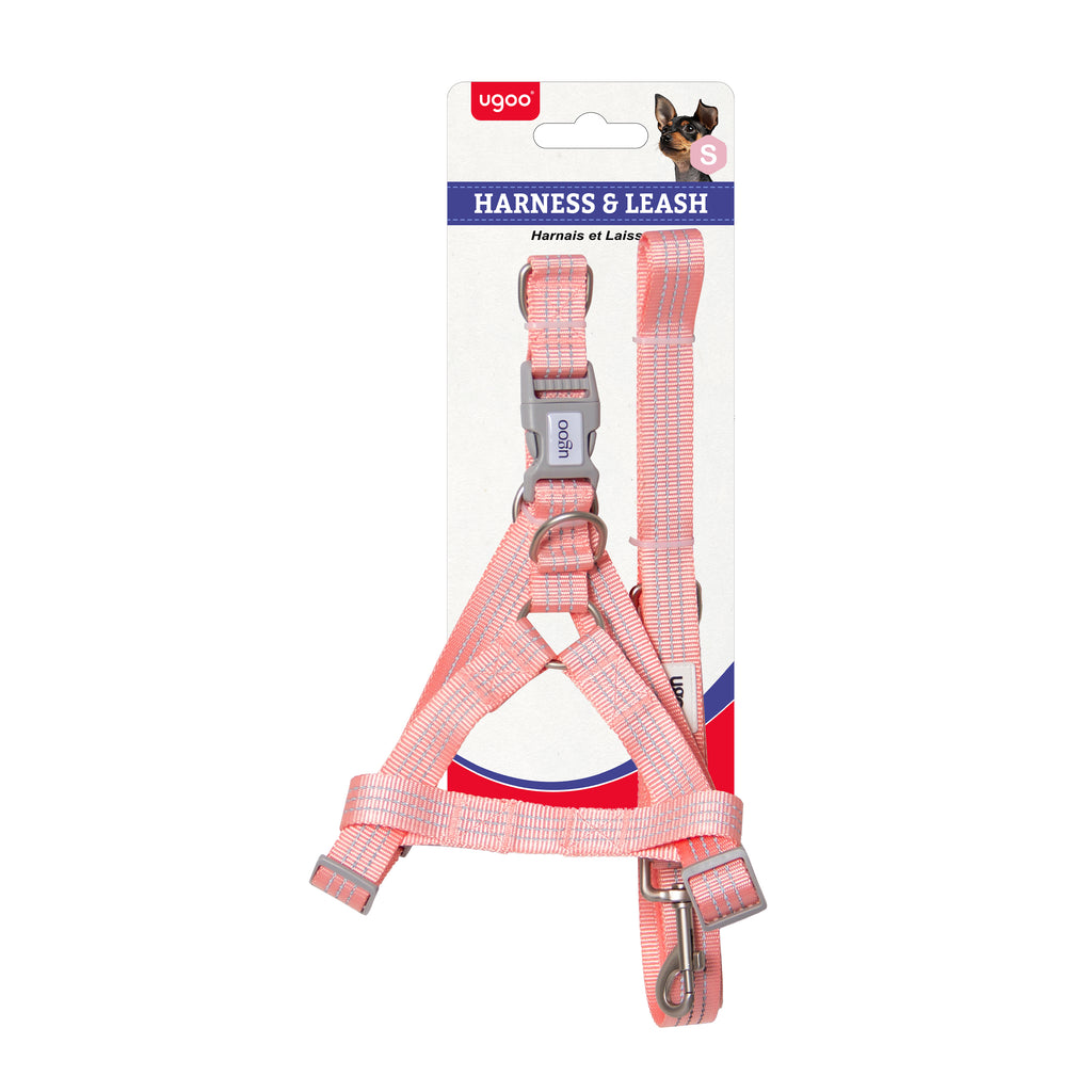 Harness & Leash Set - S - Additional Image 2