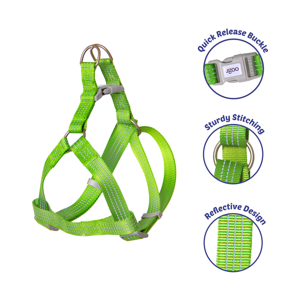 Harness & Leash Set - S - Additional Image 5