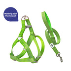 Harness & Leash Set - S - Additional Image 6