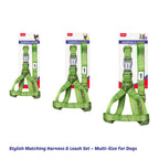 Harness & Leash Set - S - Additional Image 7