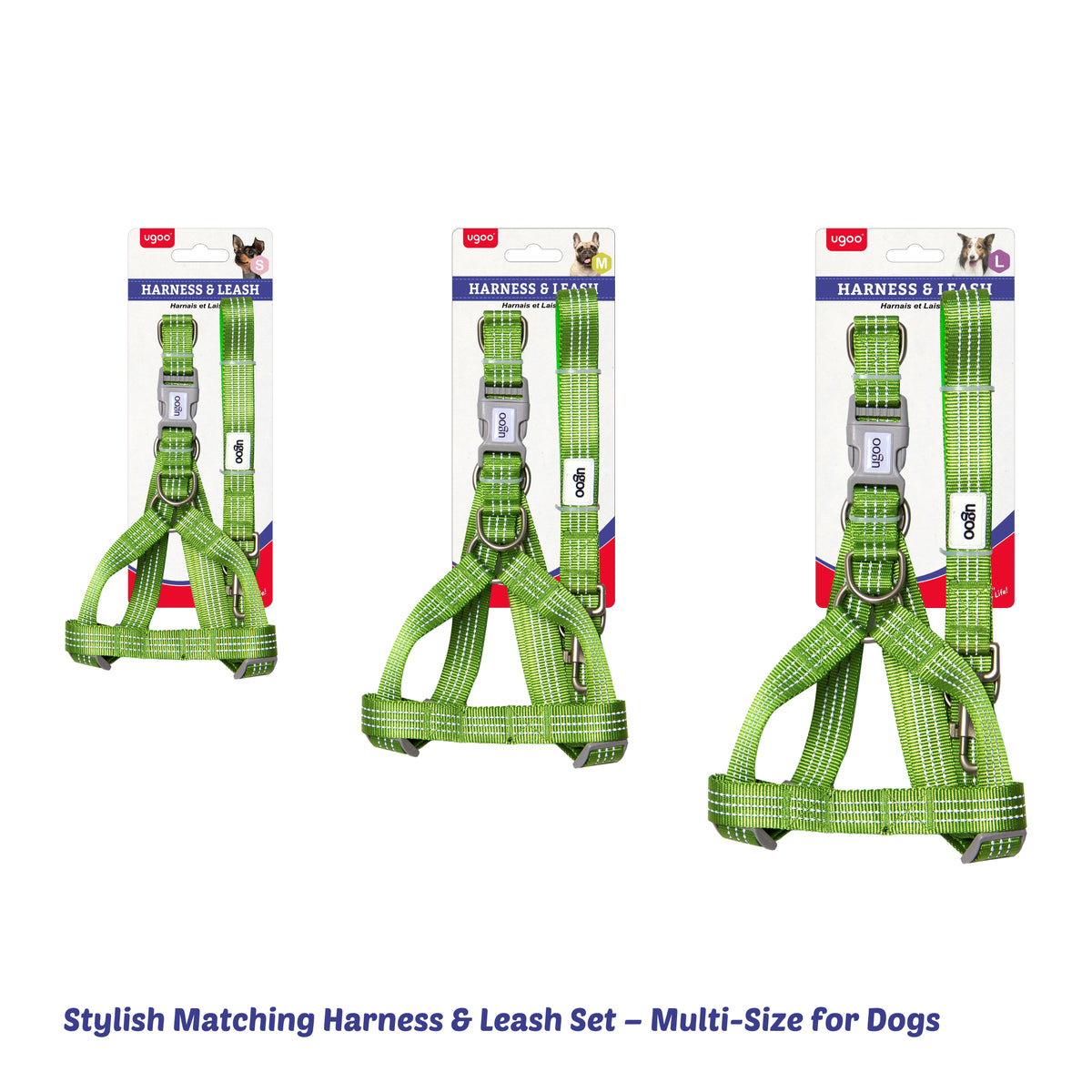 Harness & Leash Set - S - Additional Image 7