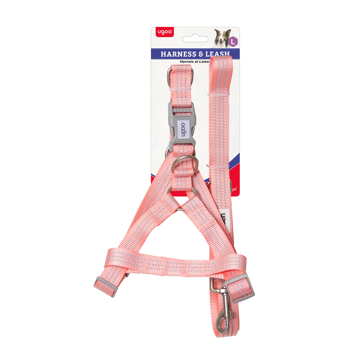 Harness & Leash Set - L - Additional Image 2