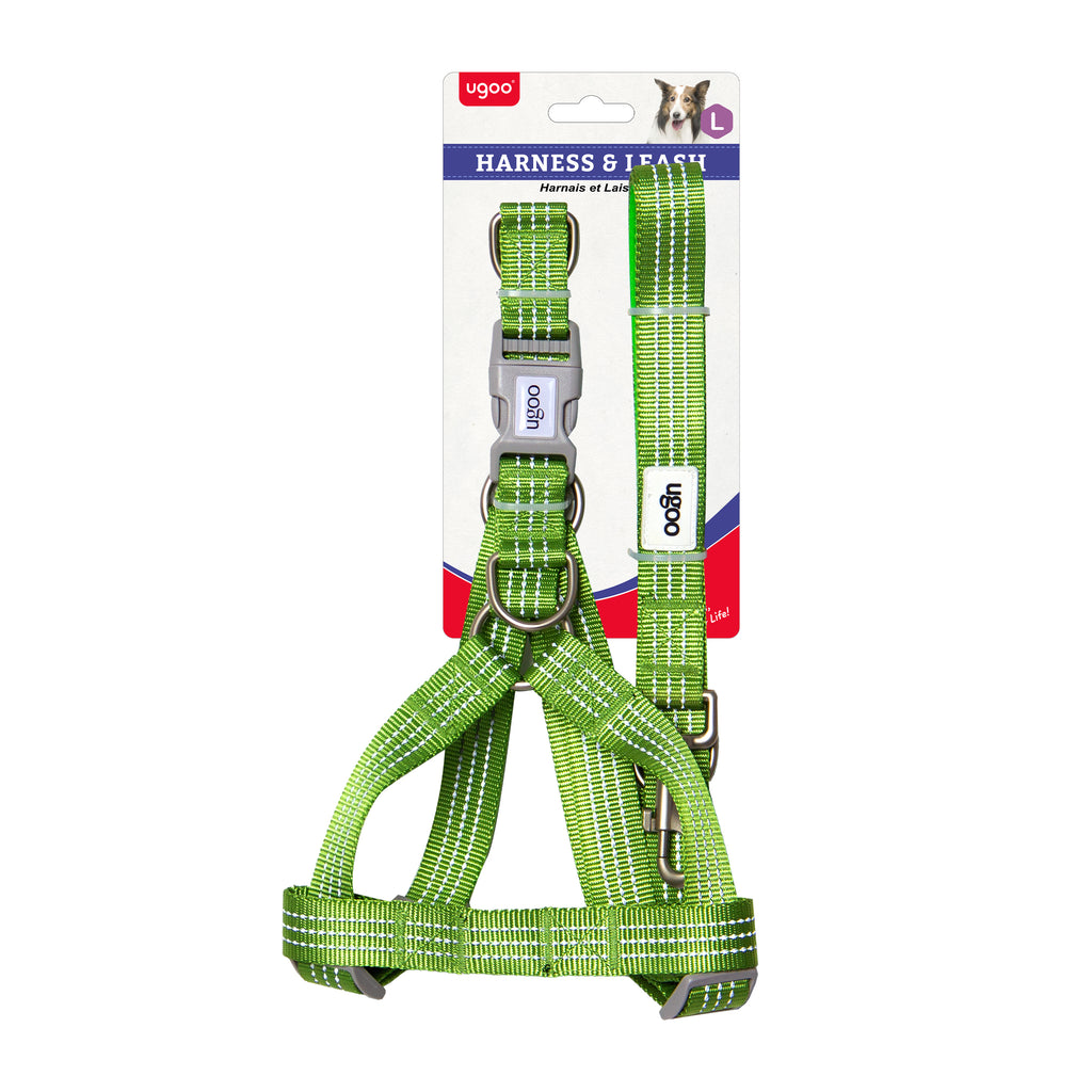 Harness & Leash Set - L - Additional Image 3