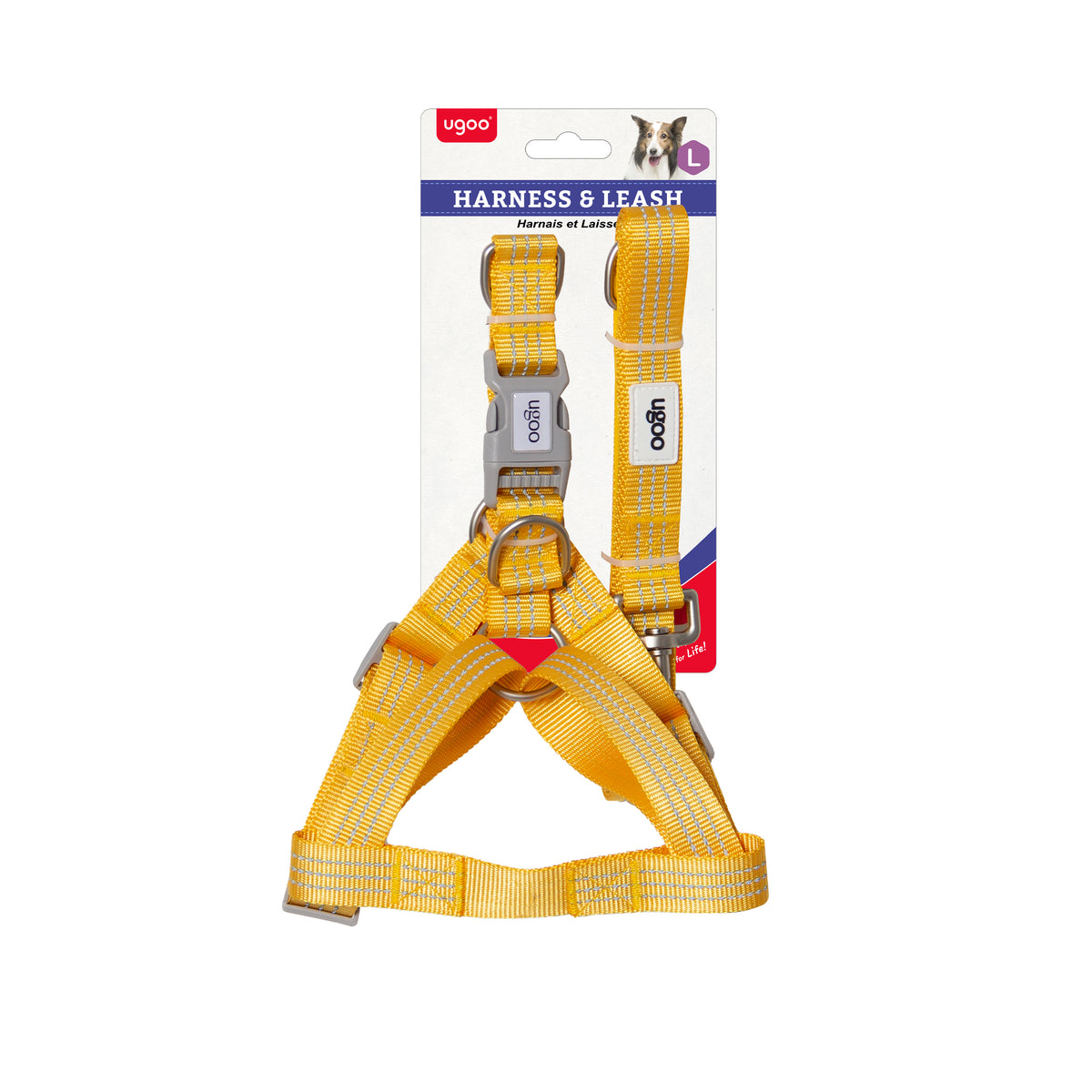 Harness & Leash Set - L