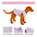 Striped Ruffle Dog Dress - S - Additional Image 2