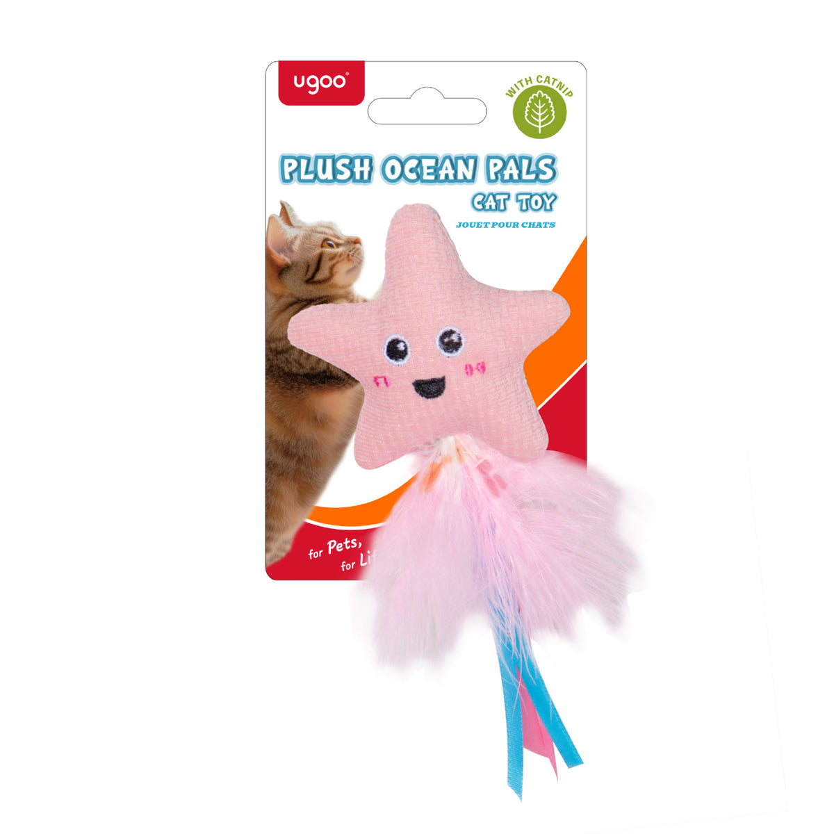 Cat Plush Starfish