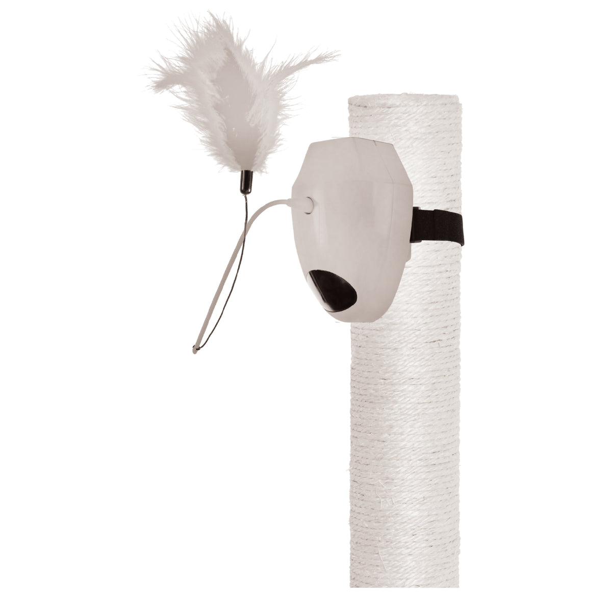 Interactive Cat Teaser