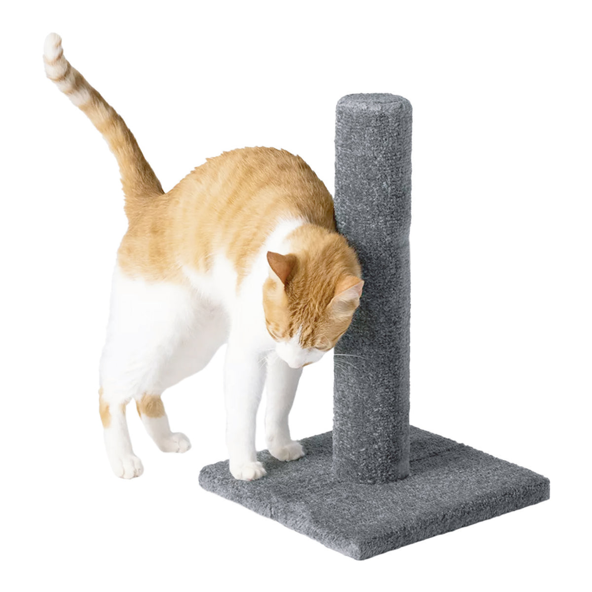 Carpet Post