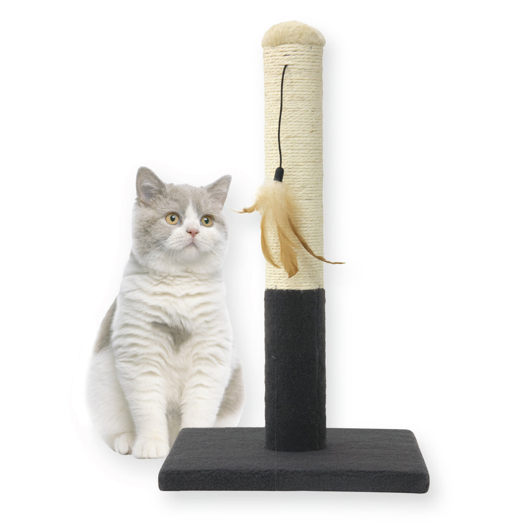 Dangle Scratch Post