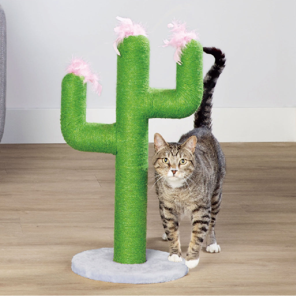 Novelty Cactus Post - Additional Image 1