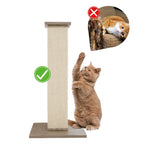 Modern Sisal Post - Additional Image 1