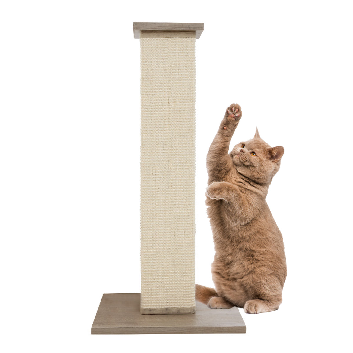 Modern Sisal Post